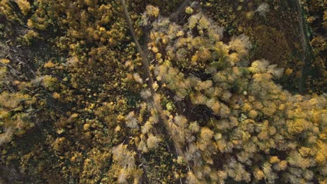 Landschaft-Mit-Buntem-Wald-Im-Herbst-Aus-Der-Vogelperspektive