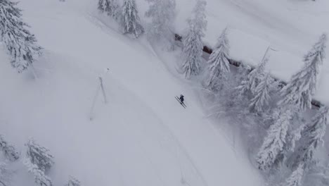 athlete skiing on icy rural road through forestry area, aerial top down view