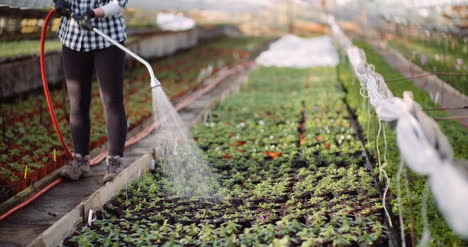 Female-Gardener-Watering-Flowers-Seedlings