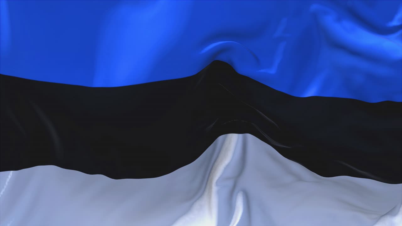 에스토니아 발을 흔들고