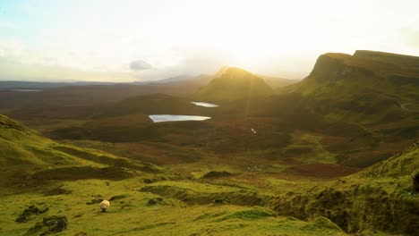sheep are seen grazing on the quiraing landslip on the isle of skye in scotland 2