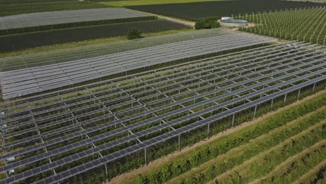 granja solar agrivoltaica para la producción sostenible de alimentos y electricidad en grafschaft, alemania