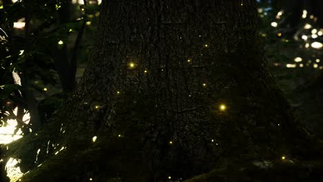 luces de luciérnaga de fantasía en el bosque mágico
