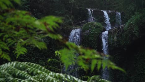 wide shot of cascading waterfall down the mossy mountain and fern leaves in foreground defocused