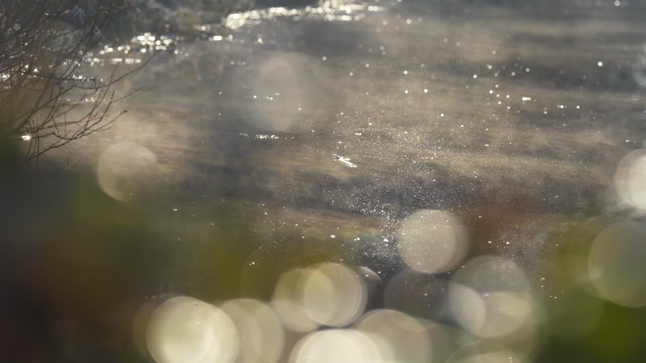 겨울의 하천에 대한 빛