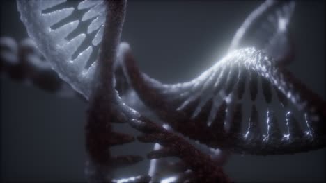 loop double helical structure of dna strand close-up animation