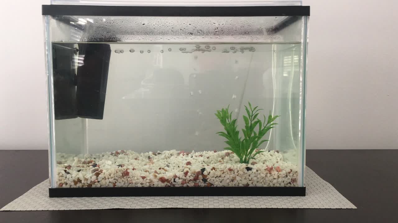 Acquario pieno d'acqua