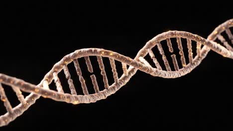 exploring the intricacies of dna structure: a detailed visualization of the iconic double helix with emphasis on its unique features and molecular complexity