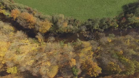 Der-Fluss-Schlängelt-Sich-An-Einem-Sonnigen-Herbsttag-Zwischen-Den-Bäumen-1