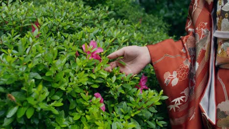 woman in kimono interacting with azaleas in a garden