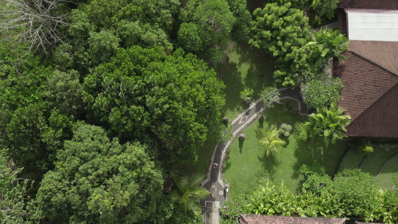 hombre caminando por un sendero entre villas y palmeras en un resort de lujo en bali, vista de arriba hacia abajo de drones, volar hacia atrás