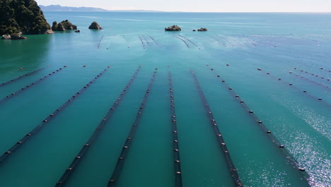 aerial, mussel, clam or oyster farm fishery submerged in ocean close to the coast