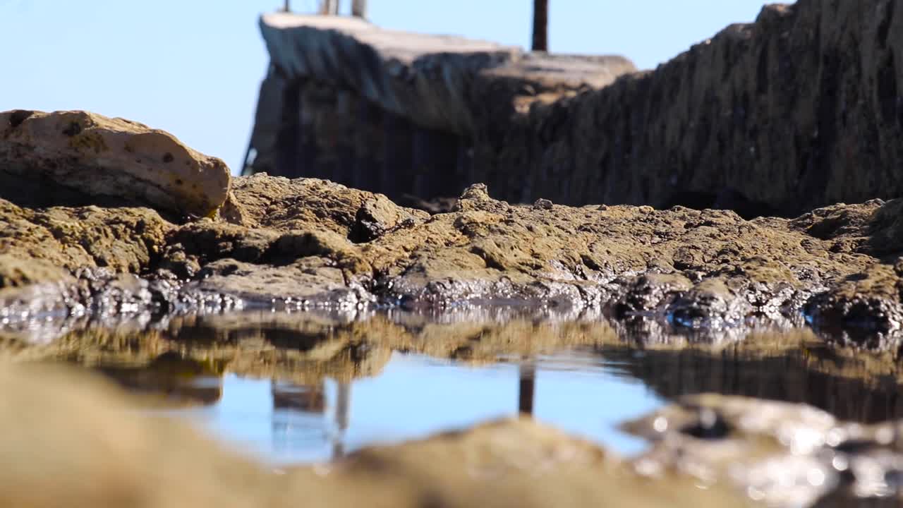 acercarse a través de la piscina de marea y la costa rocosa de basalto cubierta de algas