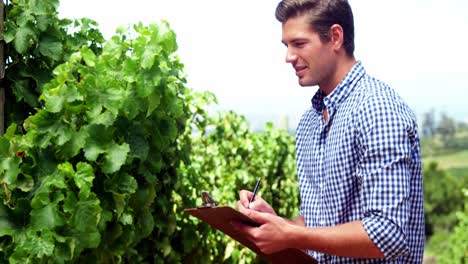 Man-examining-grapevine-on-clipboard-in-vineyard