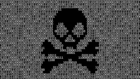 malware program. binary code