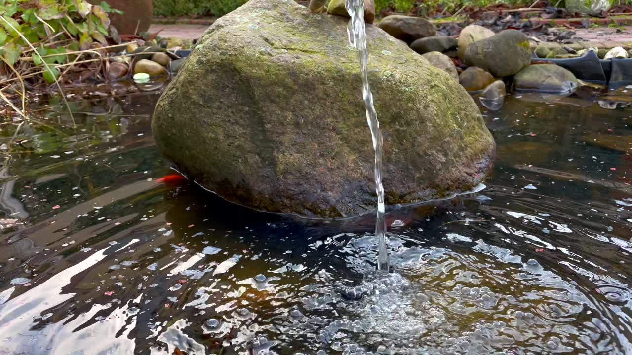 toma en cámara lenta de salpicaduras de agua en un estanque con peces dorados en el jardín