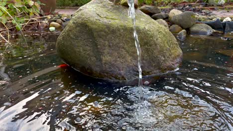 Zeitlupenaufnahme-Von-Spritzwasser-Im-Fischteich-Mit-Goldfischen-Im-Garten