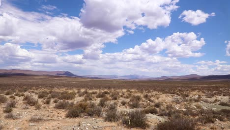 the grasslands of the great karoo