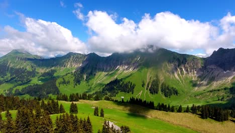 ripresa aerea sul paesaggio alpino, svizzera nella foresta primaverile e alpi, cime sullo sfondo tra le nuvole