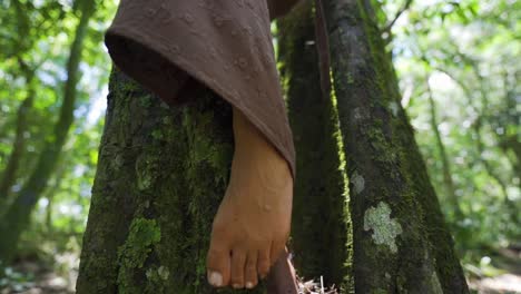 Female-feet-gently-brushing-against-a-tree-in-the-heart-of-the-jungle