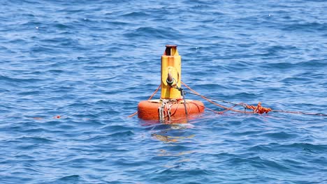 buoy floating and swaying in the ocean