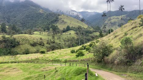 trekking in rural cocora valley close to salento village