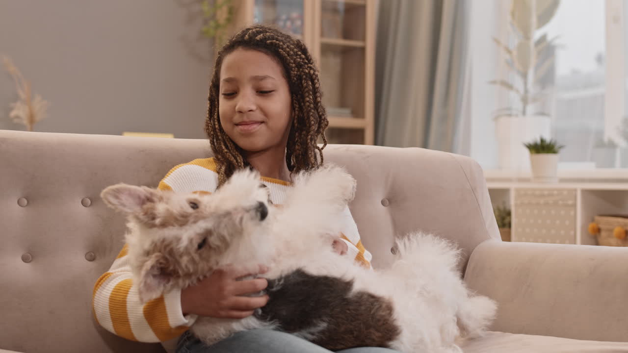 hund, der in den armen eines mädchens schläft