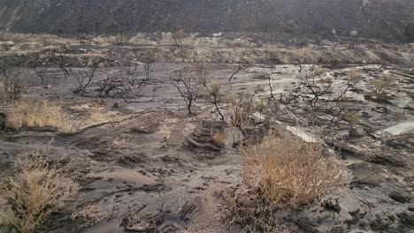 toma de glidecam de lo que queda del entorno natural después de los devastadores incendios forestales de fairview en hemet, california