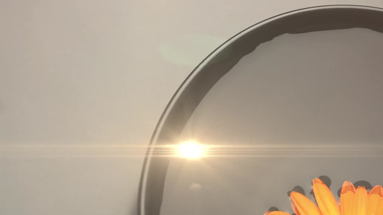 물 위의 노란색 꽃 위에 있는 빛의 반점의 애니메이션