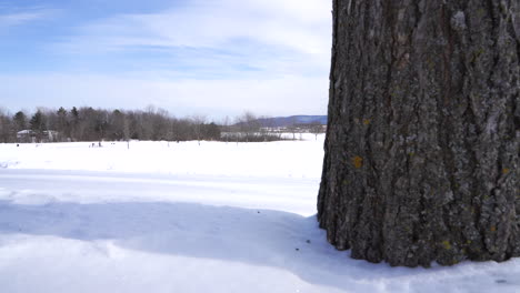 pan shot of granby parc daniel johnson in winder