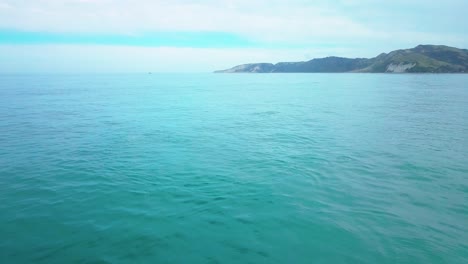 Dolphin-Encounter,-Dolphins-Jumping-Outside-Kaikoura-New-Zealand---Dolly-In-Shot