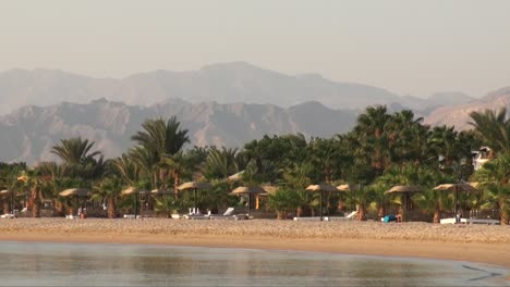 Weitwinkelaufnahme-Eines-Strandes-Mit-Palmen-Und-Wüste-Im-Hintergrund-In-Ägypten