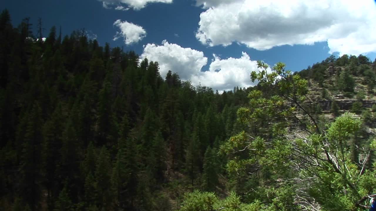 toma panright del monumento nacional walnut canyon en arizona
