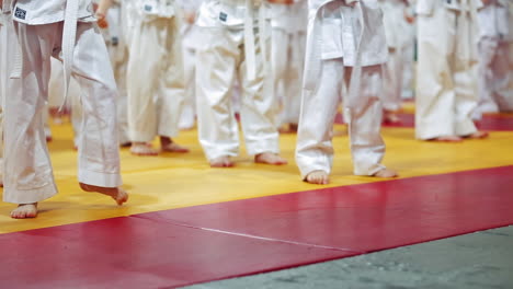 kids at martial arts training. young children in kimono perform techniques martial arts