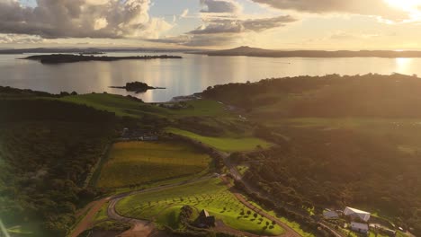 golden hour in new zealand with reflection on water river. growing fields and vineyards on island of waiheke island,nz aerial top down.