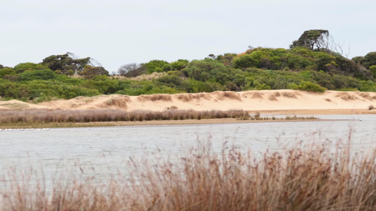 lago con colinas y vegetación en el fondo