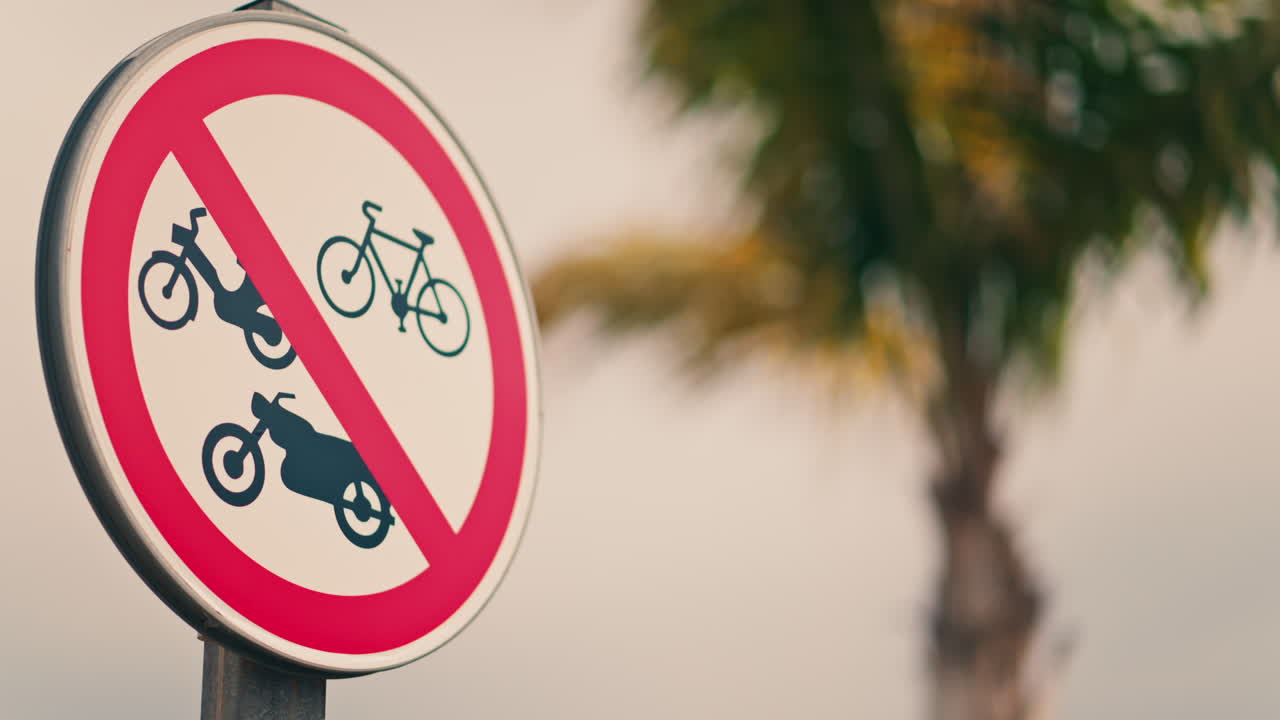 No bicycles allowed sign with a blurred background of a palm tree