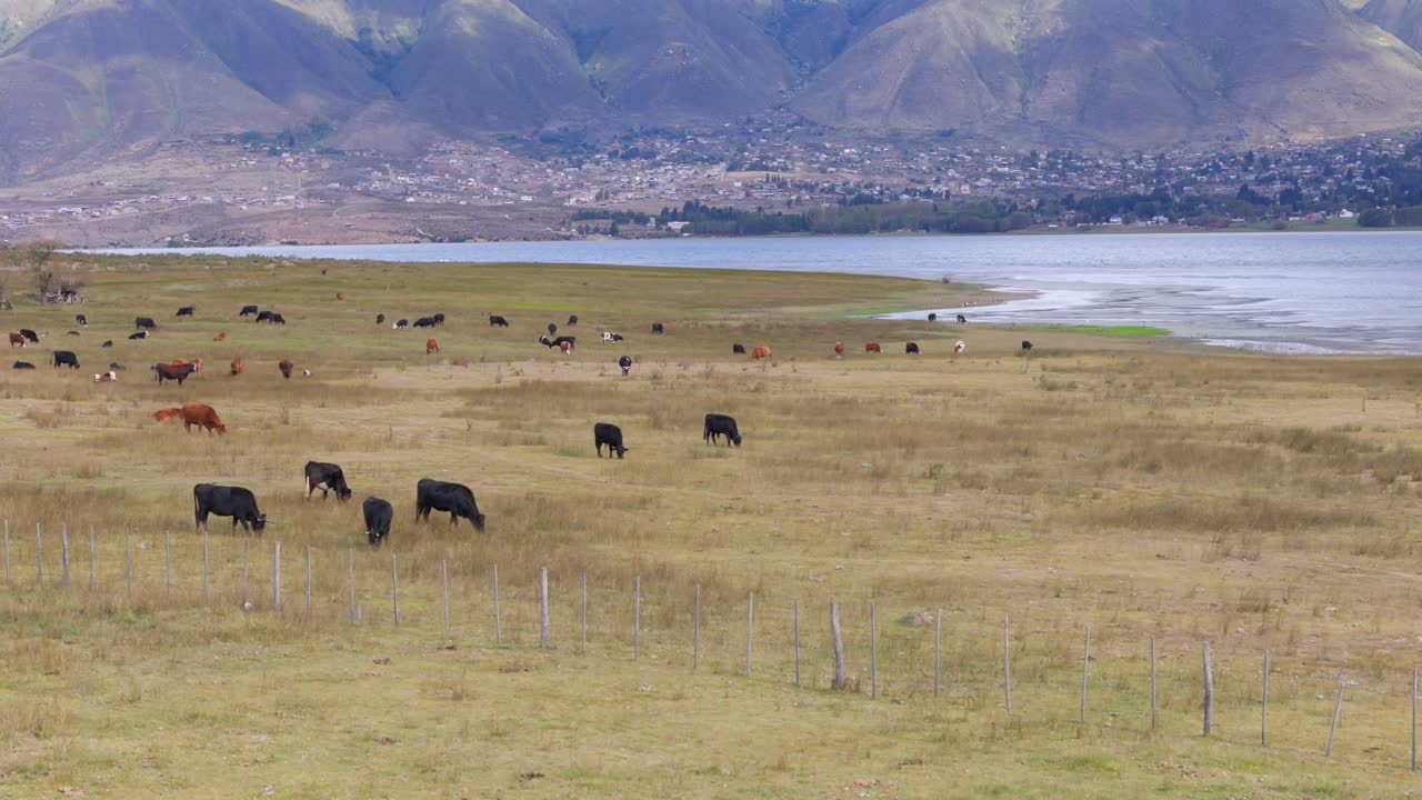 тафи-дель-вальле, провинция тукуман, аргентина