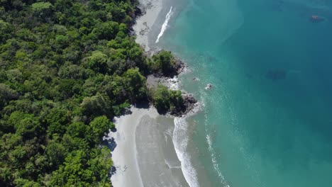 the coastline of manuel antonio in costa rica, with its turquoise waters crashing against the sandy beaches and the lush greenery of the surrounding forests