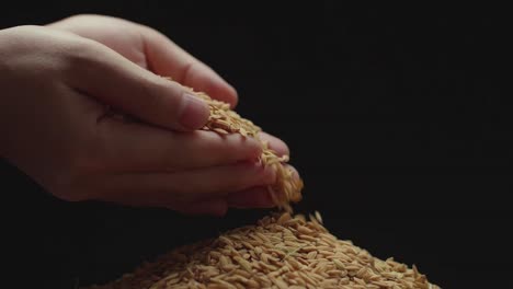 someone used the hand to pick up the rice. seeds dropping from the top to bottom