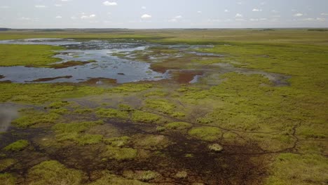 Wetlands-of-northeast-Argentina-shooted-with-drone