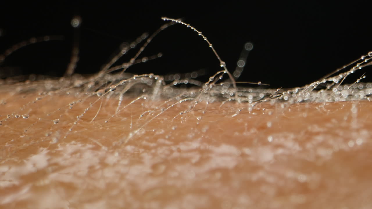 Man hand skin texture close-up, hair. Arm surface macro shooting. Body and healthcare, hygiene and medicine concept.