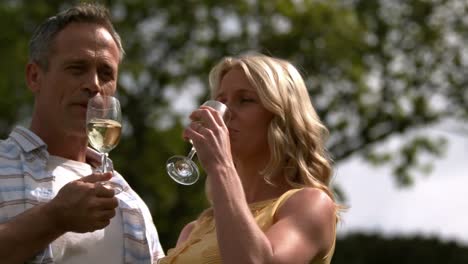 adult couple drinking champagne together