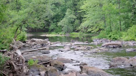 stream flowing into a small pond