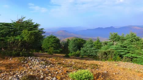 de la montaña de babur - setif argelia