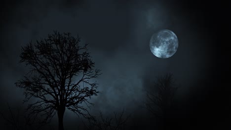 spooky night landscape with full moon