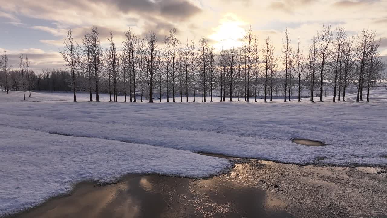 Beautiful winter sunset over snowy field in Borgarfjörður, Iceland, bare trees line horizon with melting snow and water reflections.