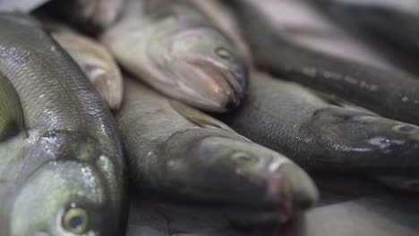 fresh fish on ice at the farmer's market in slow-motion