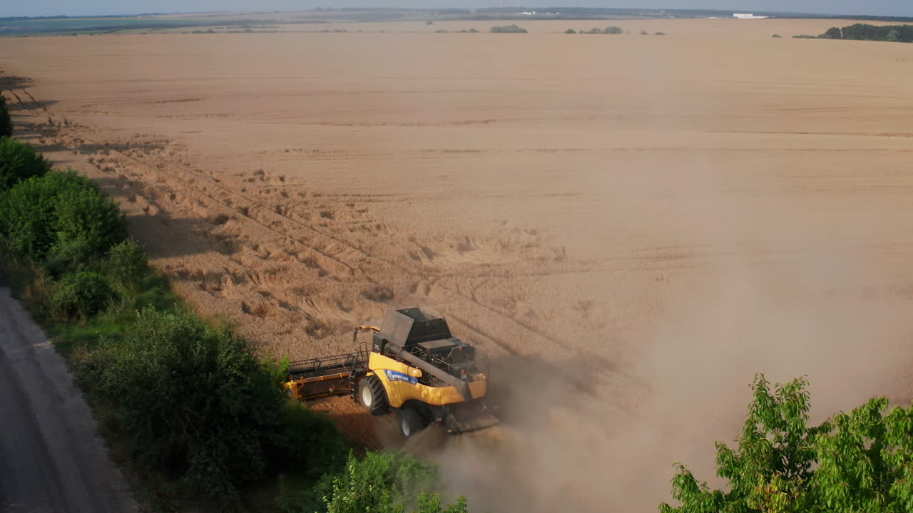 밀 필드에서 일하는 수확기를 결합