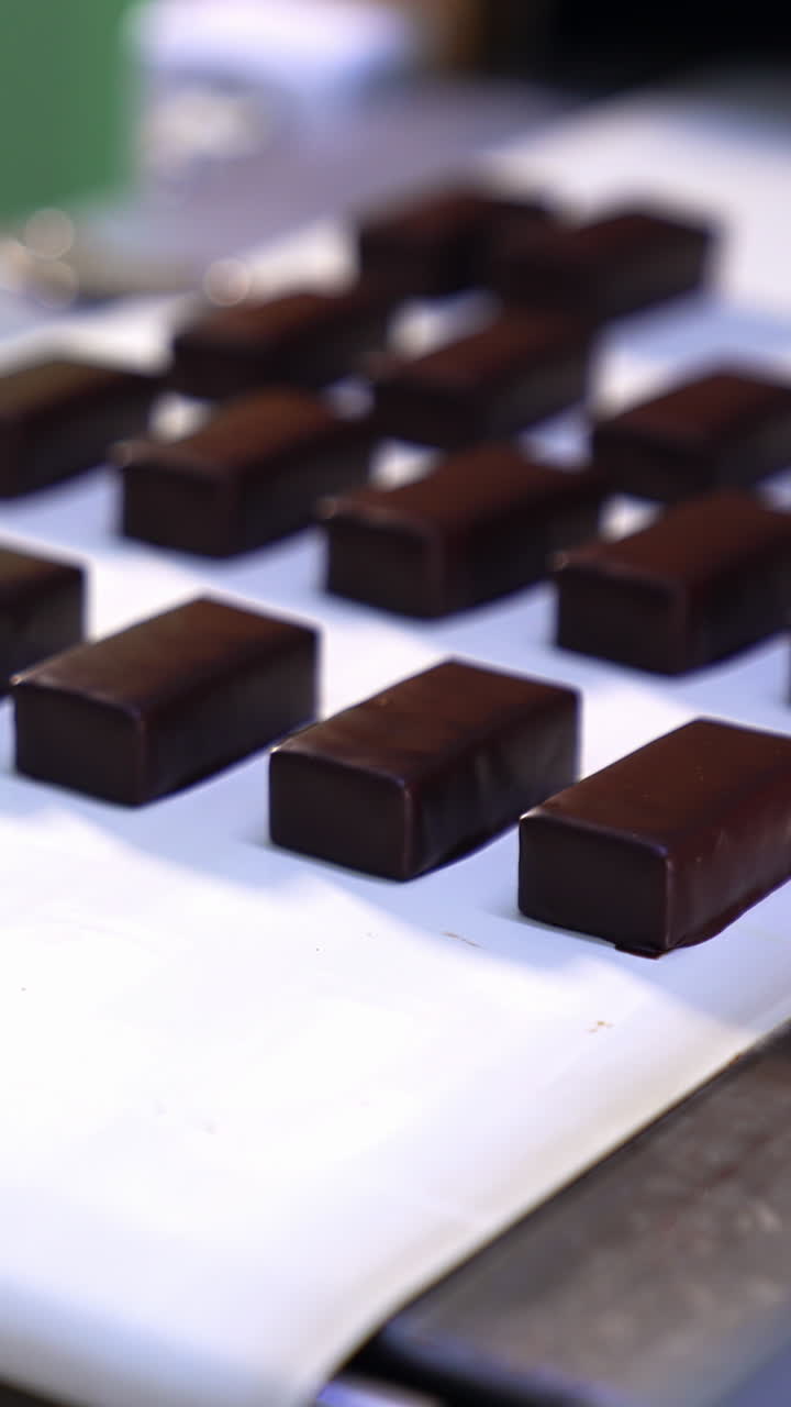 Confectionery plant worker in blue gloves picks up ready candies from assembly line. Freshly-made chocolate sweets being removed from a conveyor line. Close up Vertical video